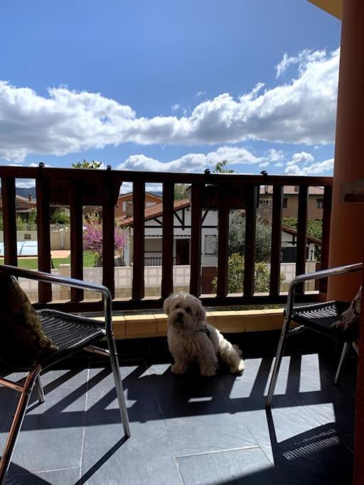 Villa Maria. Medina de Pomar Dış mekan fotoğraf